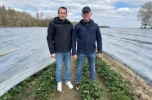 Jacek Witkowski, Timac Agro, Krzysztof Koniec, plantator jagodowych