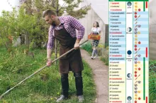 Maj 2026: najlepsze dni na siew i sadzenie. Sprawdź kalendarz biodynamiczny