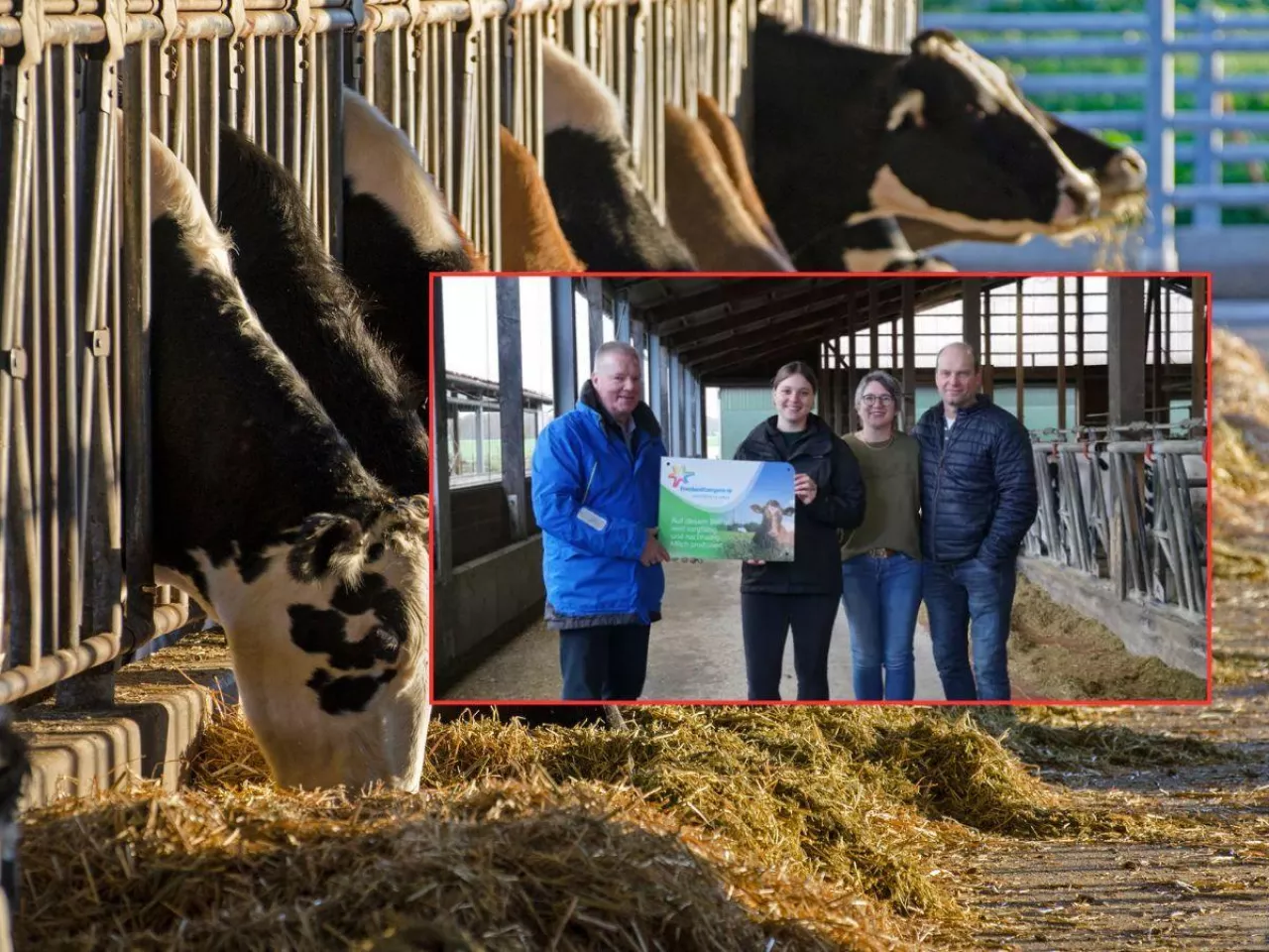 Rolnik zmienił mleczarnię. ”Teraz to oni zabiegają o nasze mleko”
