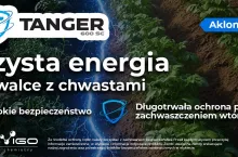 Tanger 600 SC – odpowiedź na zmiany w ochronie ziemniaka po wycofaniu metrybuzyny