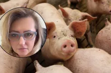Ewa Szydłowska z Kazimierzowa (pow. łosicki, gm. Stara Kornica) razem z mężem prowadzi chów trzody chlewnej w cyklu otwartym, dysponując chlewnią na 2 tys. sztuk