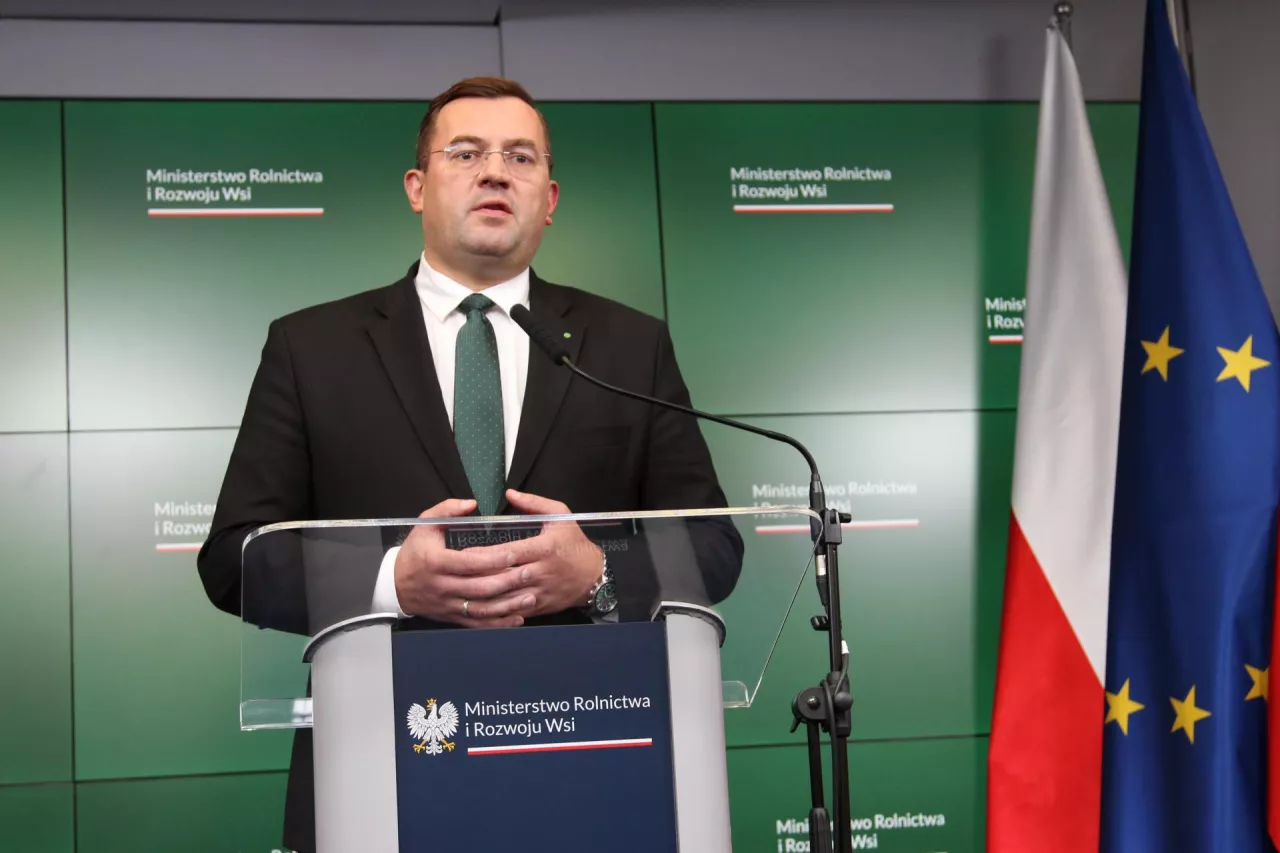 Ziemniaki gniją, rolnicy pod ścianą. Rząd szuka ratunku na ostatnią chwilę