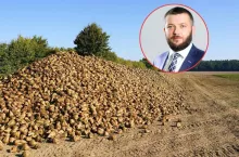 Ekspert o rynku cukru