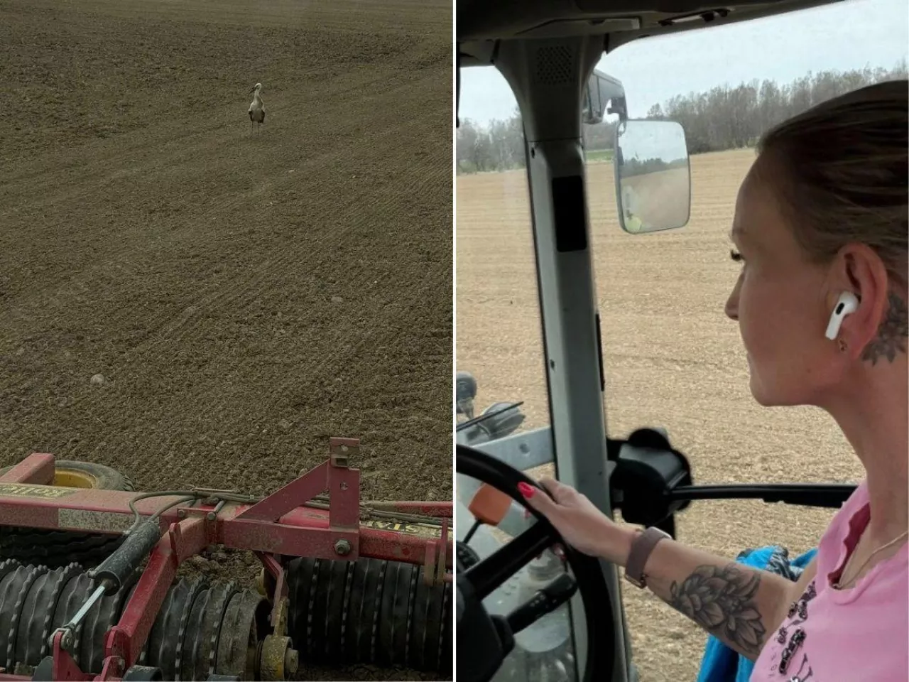 po lewej pole, bocian na polu, po prawej rolniczka w traktorze