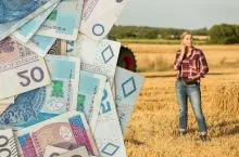 rolnik na polu, po lewej banknoty polskie