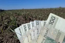pole, banknoty