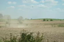 Susza uderza w pola. Jak zatrzymać wodę w glebie i uratować plony