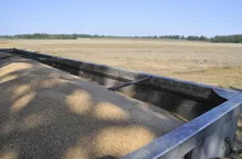 Jeśli prezydent podpisze nowelizację ustawy o FOR, rolnicy, którym skupy zalegają z zapłatą np. za zboże, będą mogli składać wnioski o rekompensaty także w lipcu oraz w sierpniu 