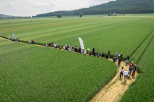 Przymrozki, susza i trudna wiosna. Zielone Pola pokażą, co dzieje się na polach