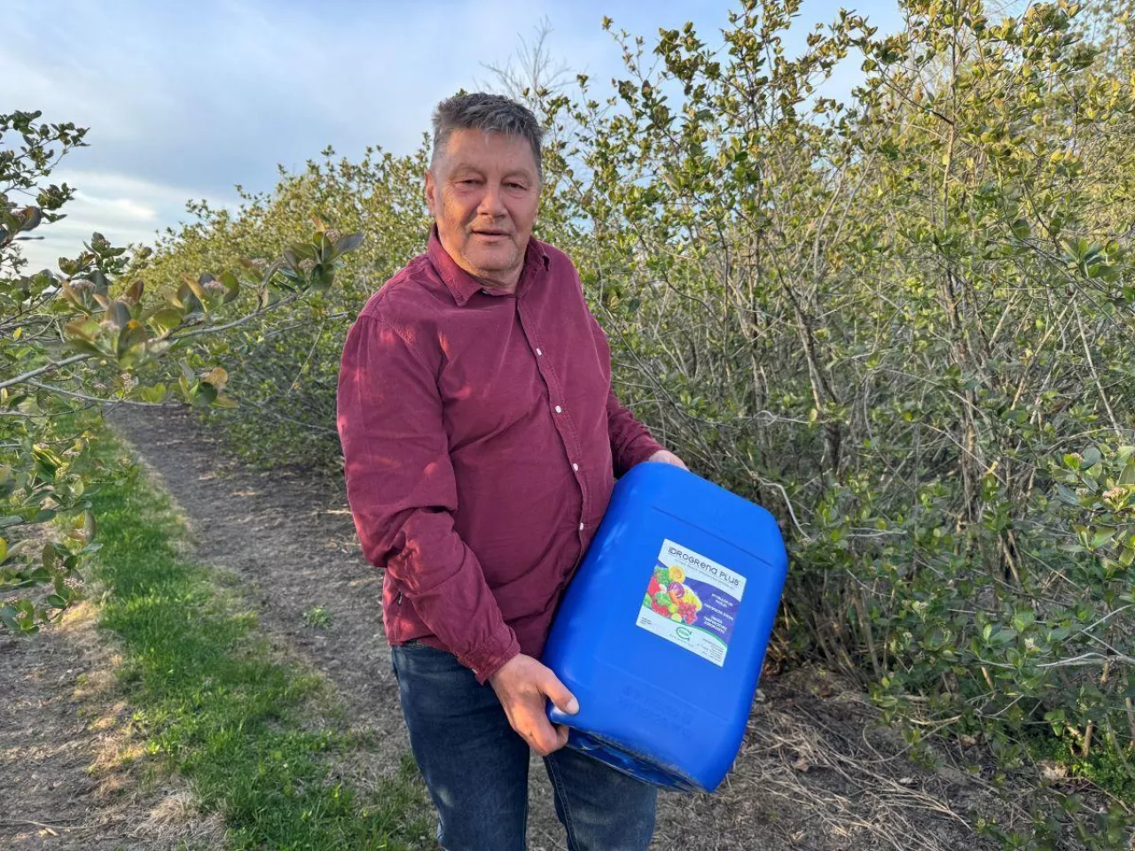 Ireneusz Sypuła, plantator jagodowych, właściciel Agromal