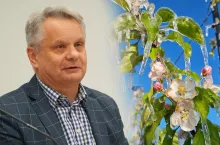 Straty sięgają nawet 100%. Rolnicy domagają się rekompensat
