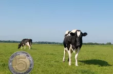 Ceny mleka w dół, ale to koniec spadków? Nowa prognoza KE