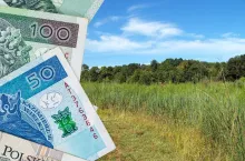 łąka, na tle łąki banknoty polskie