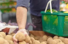 Akcja „Polski ziemniak” ruszyła. 1,5 mln ton zagrożone. Rolnicy: to za późno