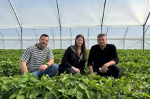 Od lewej: Łukasz Wrzosek, plantator truskawek i gospodarz spotkania, Justyna Wasiak, Sumi Agro i prof. Zbigniew Jarosz, Doradca Jagodowy