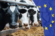 ”Produkcja żywności stała się pułapką finansową dla rolników”. EMB żąda szybkich reform w UE