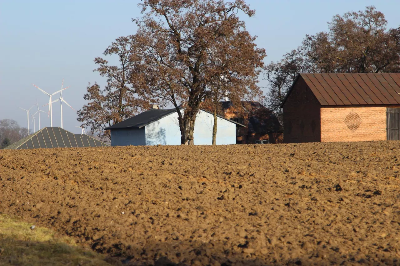 Zakaz budowy obory i chlewni? To każdy rolnik musi wiedzieć o planach ogólnych gmin