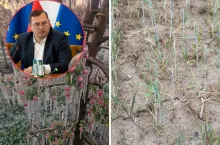 Rząd zapowiada pomoc dla rolników.