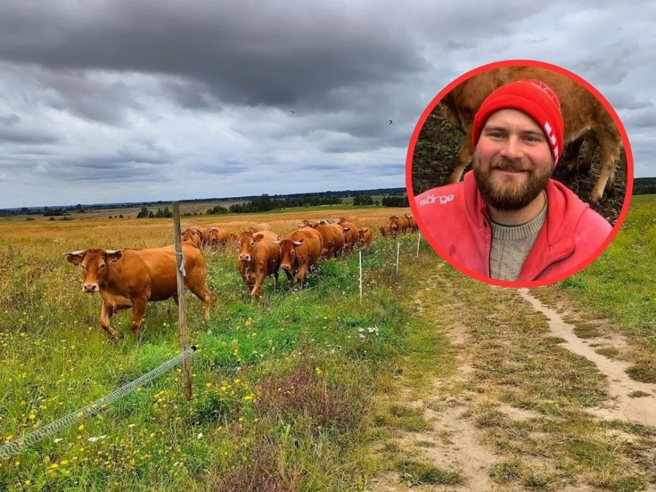 Rolnik chce rozwijać gospodarstwo. Plan gminy może mu to zablokować