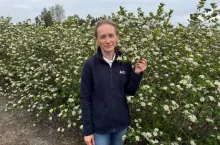 Dr inż. Diana Wieczorek, ICL, Aroniowa Demo Farma 2026