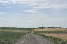Jedyny funkcjonujący przejazd dla rolników ze wsi Przedmoście