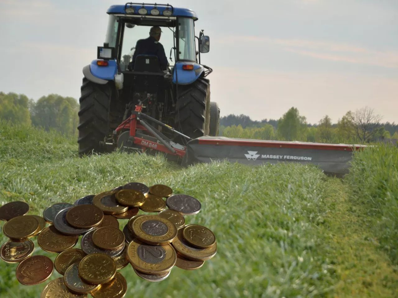 Pokos traw 2026. Ile dziś kosztuje trawa na pniu? [CENY]
