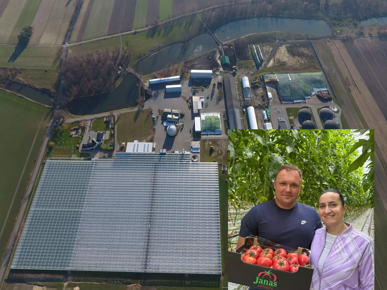 Janas Pomidory – pod taki szyldem Karol Janas wraz z żoną Kamilą produkują pomidory malinowe pod osłonami. 