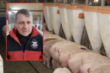 Tylko 400 zł za tucznika, choć w Polsce brakuje świń. Rolnicy pytają: co tu się dzieje?