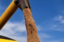 833261