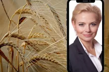 Polskie zboże musi wyjechać z kraju. Eksport zamiast interwencji