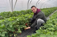 Grzegorz Kasprzak, Rajska Truskawka
