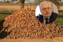 Rolnicy chcą dopłat do utylizacji ziemniaków