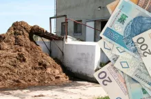 nawóz, płyta obornikowa, banknoty polskie po lewej