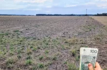 Pole rolnika po gradobiciu, pieniądze