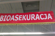 W przypadku ASF kluczowym postępowaniem bezpieczeństwa biologicznego jest szybka identyfikacja i usuwanie padłych dzików