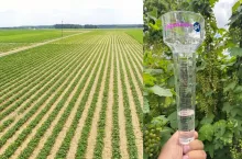 Uprawom doskwiera brak opadów atmosferycznych