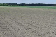 Szkody łowieckie to zmora rolników