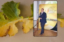 Ta choroba jest już na co trzecim polu. Rolnicy mogą stracić nawet połowę plonu