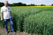 Karol Torzyński, kierownik działu badawczo-doświadczalnego SDOO w Słupi Wielkiej