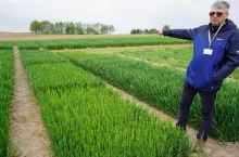 Marek Tański – prezes zarządu Agrolok i poletko z usuwanymi liśćmi (flagowe, podflagowe i z niższych partii). Doświadczenie ma pokazać wpływ braku poszczególnych liści na asymilację, wypełnienie ziarniaków i plon