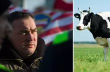 Krzysztof Paniczko - rolnik/krowy na pastawisku