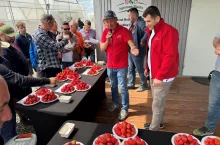 Degustacja truskawek - zapraszają Paweł Dąbrowski i Karol Milaniuk, obaj z Agronom Planst