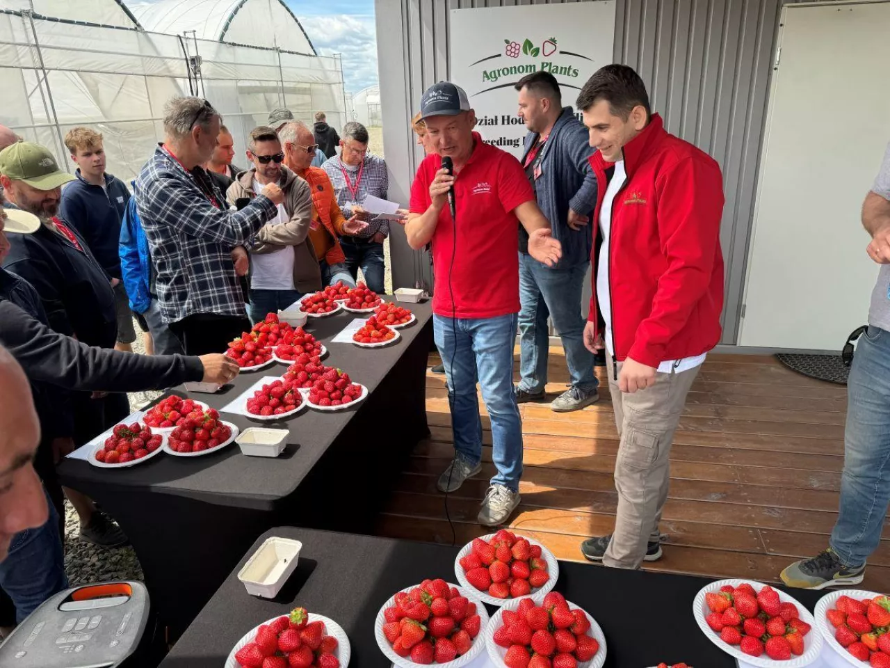 Degustacja truskawek - zapraszają Paweł Dąbrowski i Karol Milaniuk, obaj z Agronom Planst