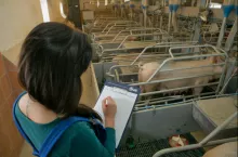 600066