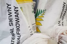 Materiał siewny; Fot. Katarzyna Szulc