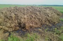 Jak stracić azot i surowiec do produkcji próchnicy? Pozostawić obornik na nieubitej pryzmie. 