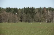 Ryzyko w sensie ekonomicznym odnosi się do sytuacji, w których - mimo braku pewności co do pojedynczego zdarzenia - jesteśmy w stanie określić ilościowe prawdopodobieństwo jego wystąpienia. 