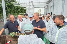 Grupa Delphy Summer Event w obiektach Thwan van Gennip
