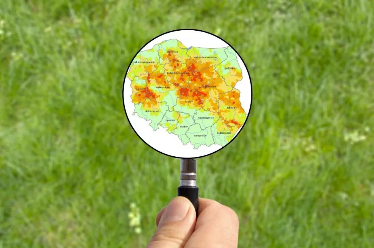Susza uderza w kolejne uprawy. Sytuacja jest coraz poważniejsza [RAPORT IUNG]