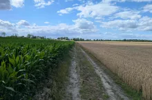Rolnik chce kupić ziemię od ojczyma, czy zapłaci od tej transkakcji podatek?